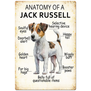 Anatomy of a Jack Russell -  Retro Tin Sign - 20 x 30 cm Portrait