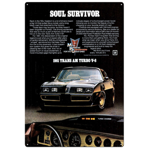1981 Trans Am -  Retro Tin Sign - 20 x 30 cm Portrait