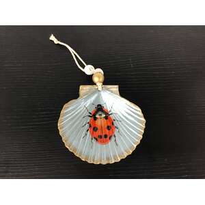 Lady Bug Shell Hanging Ornament - Blue 