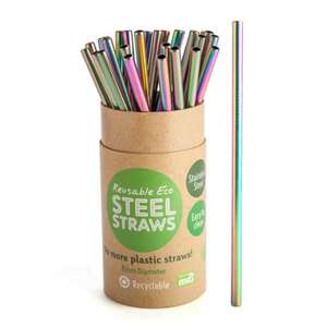 Reusable Steel Straw - Rainbow - Singular