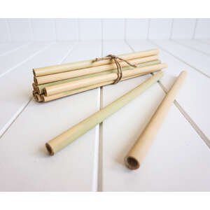 Bamboo Straws - Set of 12 - Eco