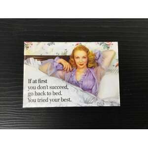 If At First You Don't Suceed Go Back To Bed | Fridge Magnet | 8 x 5.5 cm