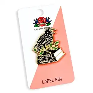Protect Knowledge Lapel Pin | Jubly-Umph Originals