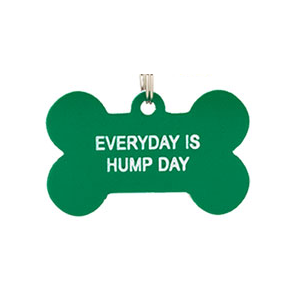 Everyday Is Hump Day - Dog Tag - Say What?