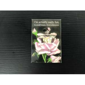 I'm Actually Really Fun | Fridge Magnet | 8 x 5.5 cm