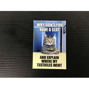 Explain Where My Testicles Went | Fridge Magnet | 8 x 5.5 cm