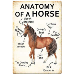 Anatomy Of A Horse | Rectangle | 20 x 30 cm | Portrait