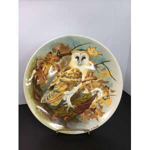VINTAGE Coalport Barn Owl Michael B Sawdy Plate | 21 cm Diameter